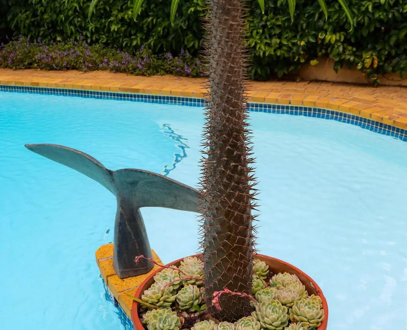 Guest house Carmichael House Boutique Hotel Cape Town