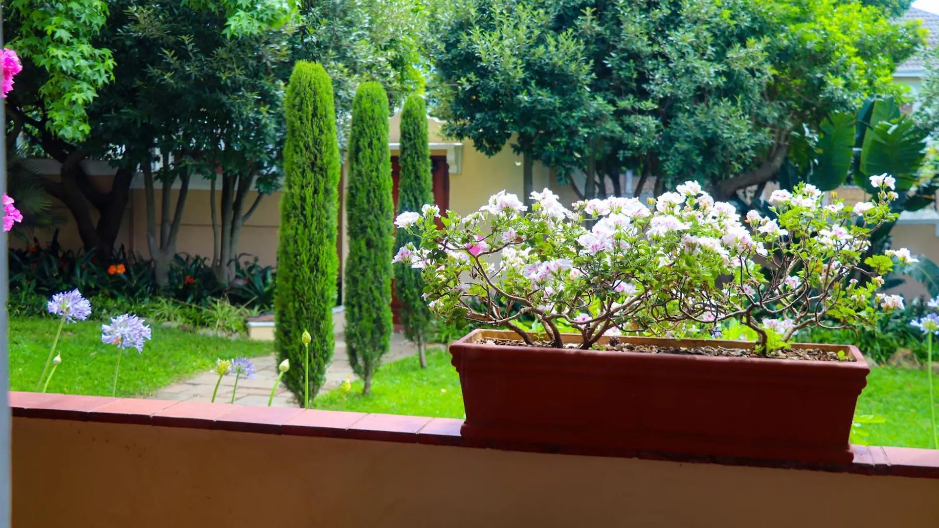 Guest house Carmichael House Boutique Hotel Cape Town
