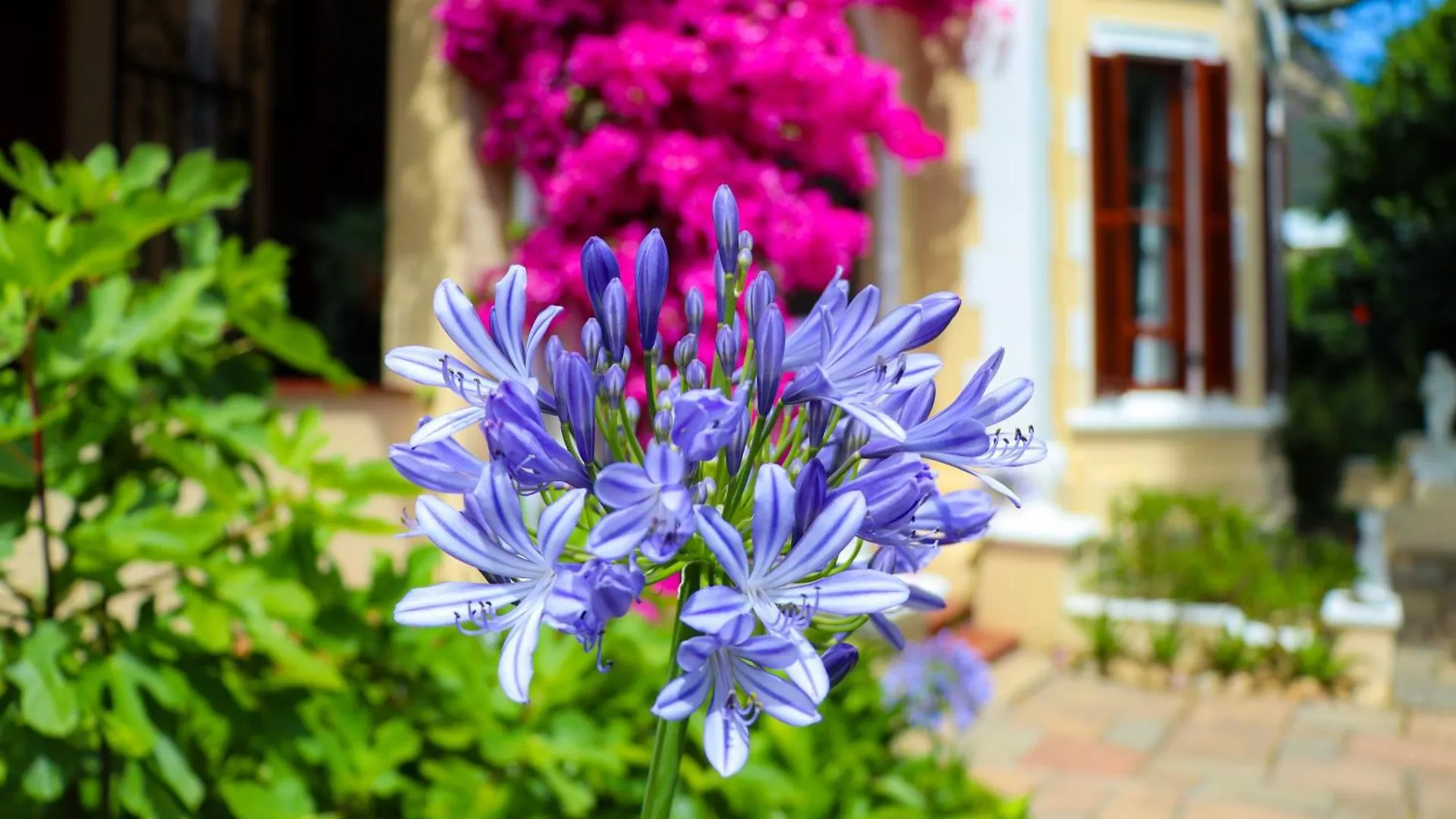 Carmichael House Boutique Hotel Cape Town
