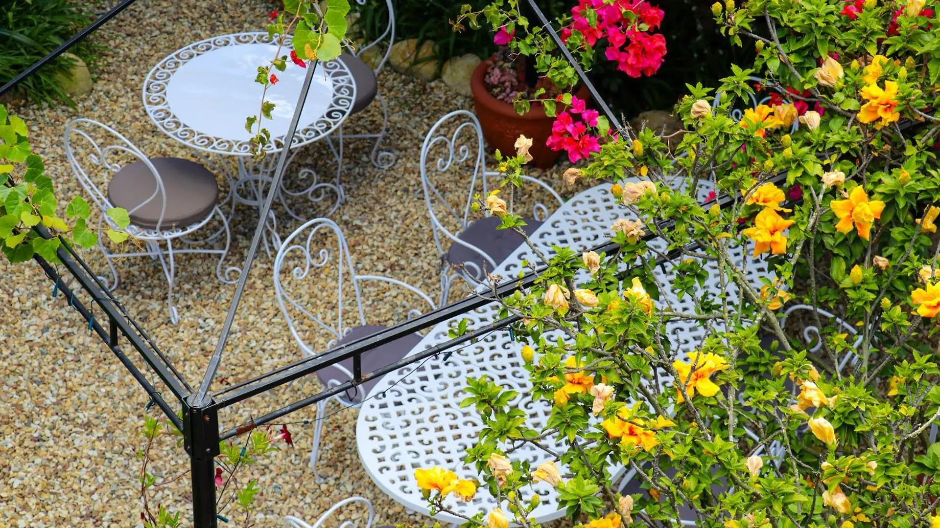 Carmichael House Boutique Hotel Cape Town South Africa