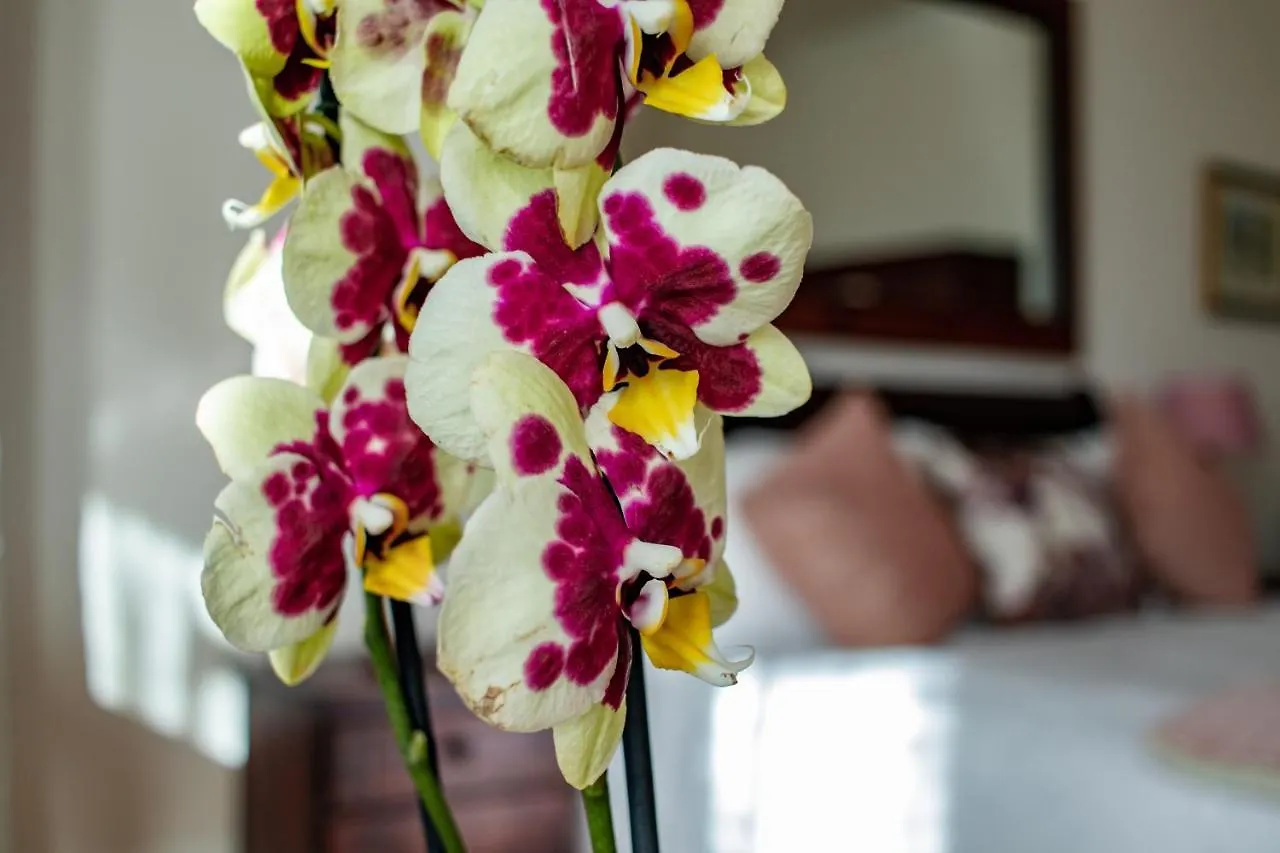 **** Maison d'hôtes Carmichael House Boutique Hotel Le Cap Afrique du Sud