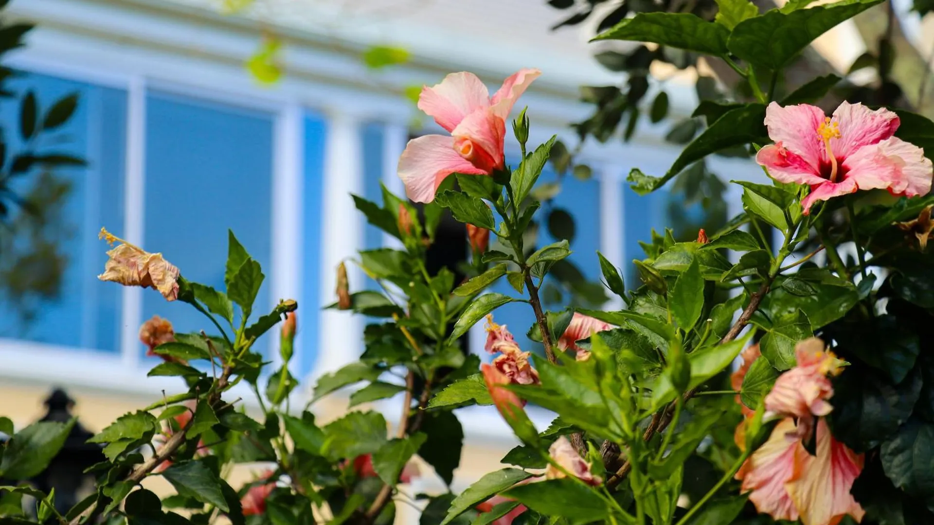 Carmichael House Boutique Hotel Le Cap 4*,